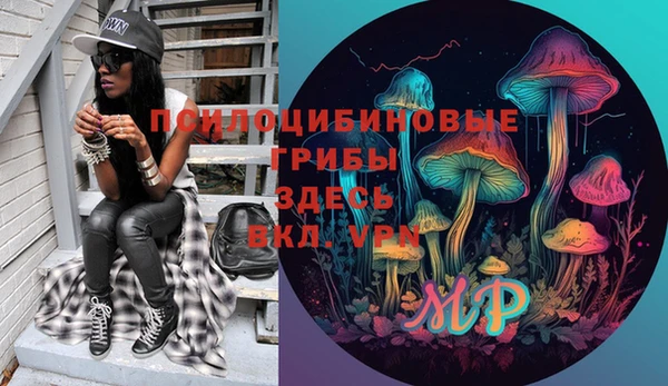 ПСИЛОЦИБИНОВЫЕ ГРИБЫ Заводоуковск