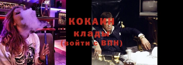 ПСИЛОЦИБИНОВЫЕ ГРИБЫ Заводоуковск