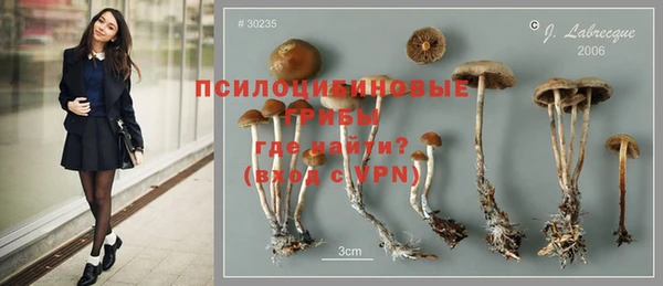 экстази Заволжск