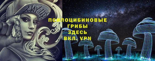 ПСИЛОЦИБИНОВЫЕ ГРИБЫ Заводоуковск