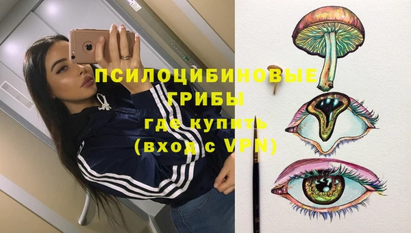 ПСИЛОЦИБИНОВЫЕ ГРИБЫ Заводоуковск