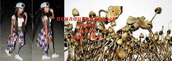 экстази Заволжск