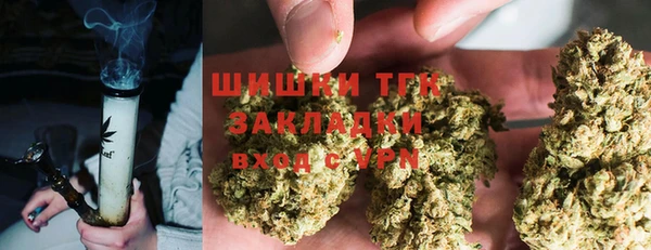 ПСИЛОЦИБИНОВЫЕ ГРИБЫ Заводоуковск