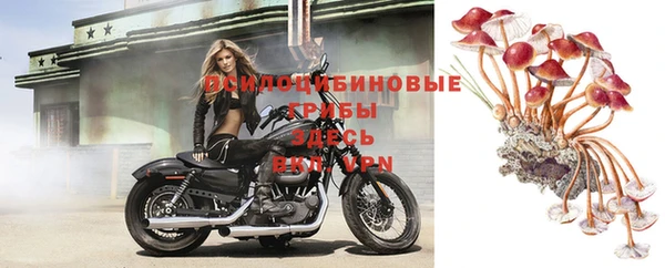 экстази Заволжск