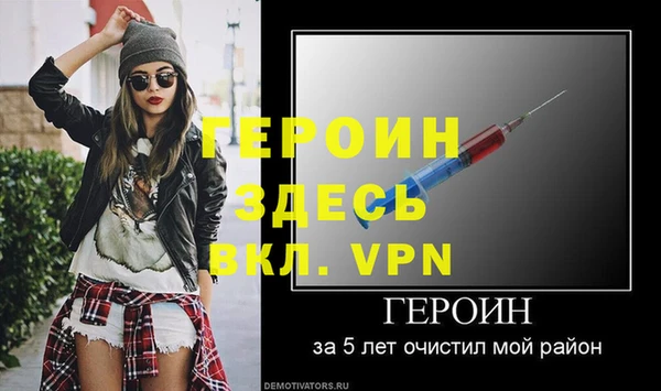 твердый Тайга