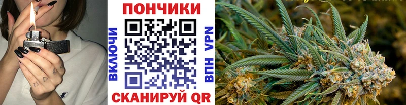 Марихуана тримм  Сковородино 